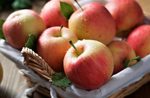 آنچه باید درباره سیب زرد بدانید