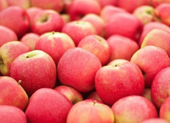 مشخصات سیب درختی فله مرغوب