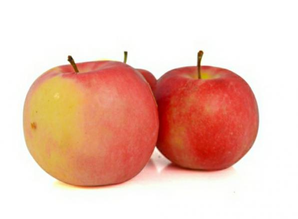 قیمت ارزان سیب گلاب کارتنی