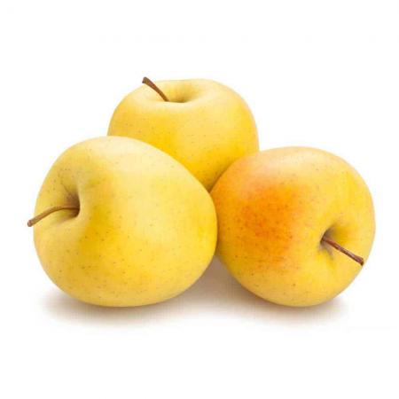 فروشنده عمده سیب زرد صادراتی