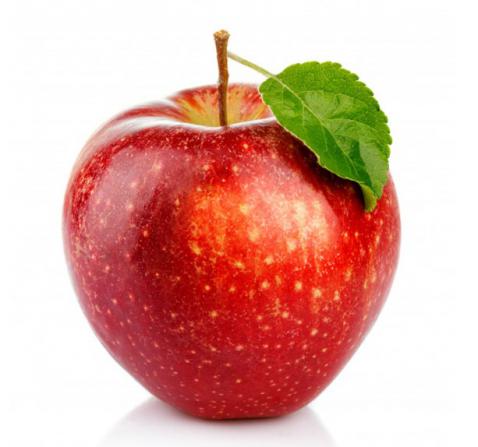 مرکز فروش سیب قرمز استخوانی ممتاز