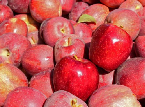 مشخصات سیب سرخ ارگانیک