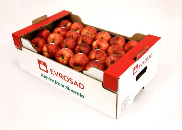 خرید سیب قرمز بسته بندی به صورت مناسب