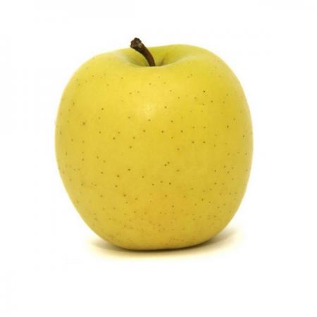 توزیع سیب زرد شیراز