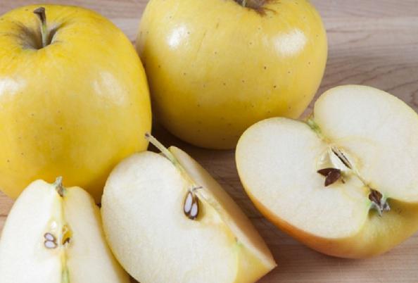 فروشگاه سیب زرد طلایی