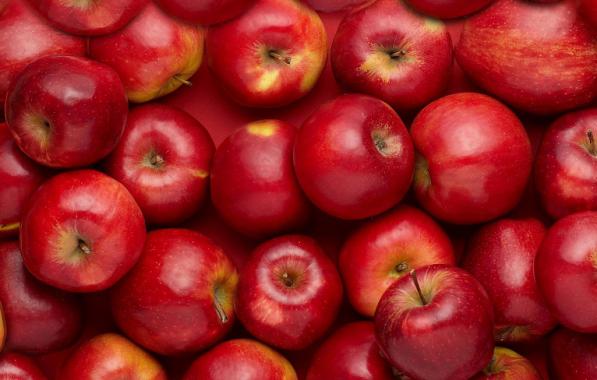 روش نگهداری سیب قرمز تازه در خانه