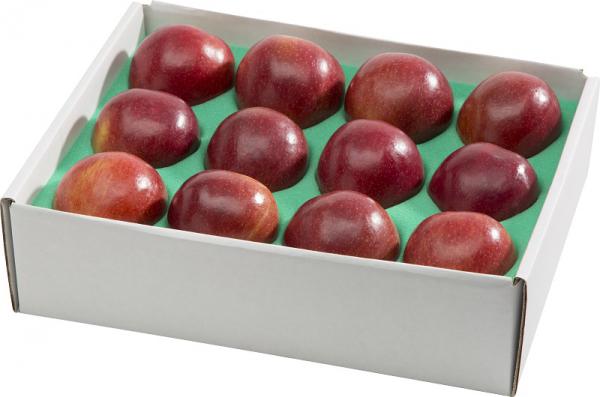 مرکز تولید سیب قرمز کارتنی اعلا