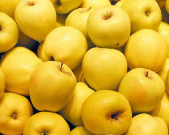 فروش سیب درختی کیلویی تهران