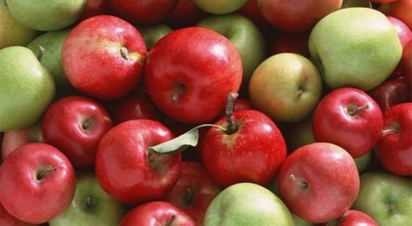 رفع خستگی مفرط با سیب مرغوب صادراتی