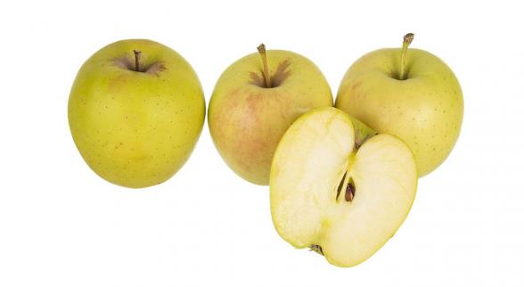 بهترین نوع سیب کدام است؟