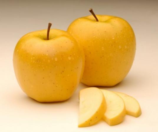 مرکز پخش سیب زرد مراغه ارزان