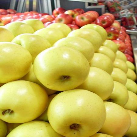 سیب زرد درجه 1 بهترین دارو برای درمان سرفه