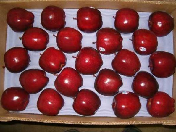 مهم ترین خواص سیب قرمز چیست؟