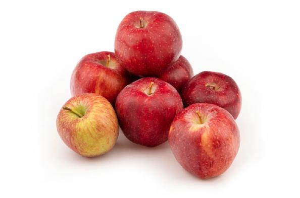 تولید انواع سیب قرمز ممتاز