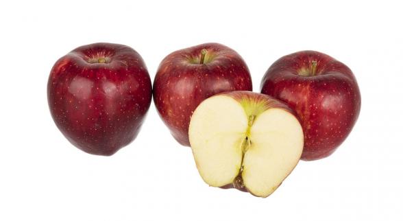 توزیع کننده سیب قرمز استخوانی