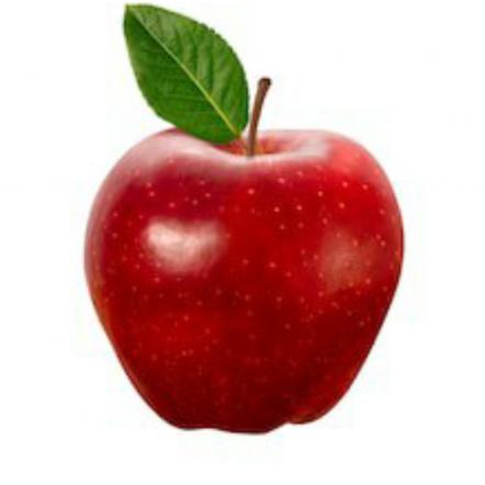 صادرکنندگان انواع سیب قرمز مجلسی