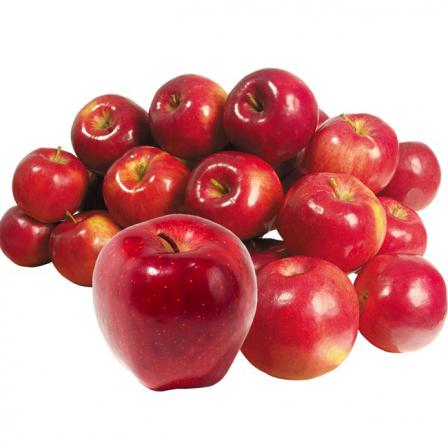 پخش کننده عمده سیب قرمز کوچک
