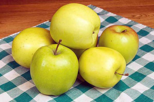 خصوصیات سیب زرد طلایی لبنان