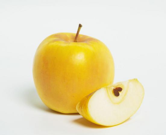 از کجا سیب زرد تازه خریداری کنیم؟