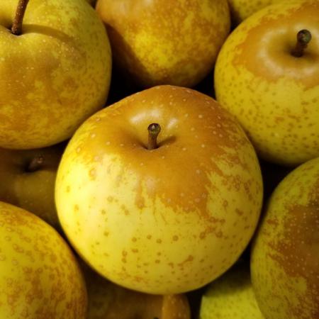 قیمت سیب زرد درجه یک صادراتی