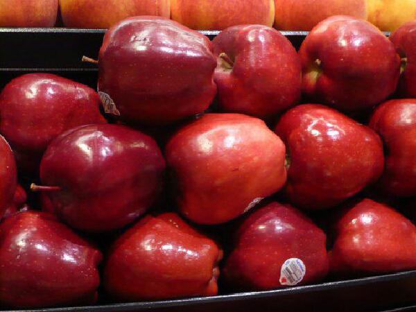 خرید سیب قرمز درجه یک عمده