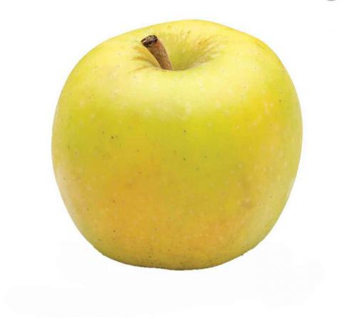 5 خاصیت مهم سیب زرد شیراز