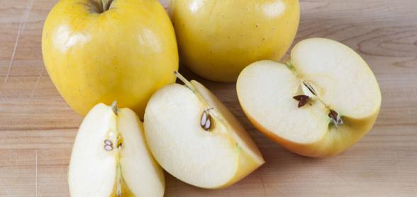 منظور از سیب زرد ماتیکی چیست؟