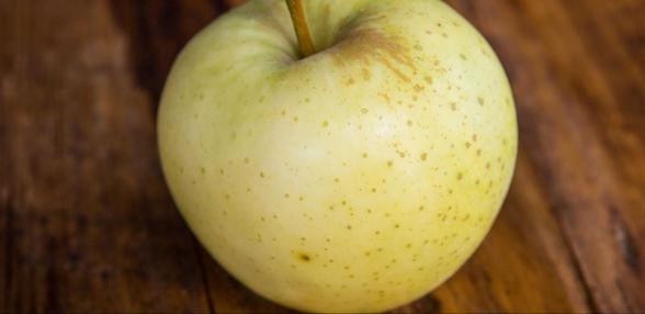 پخش انبوه سیب زرد ماتیکی