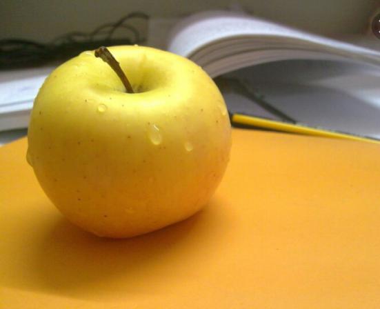 قیمت بهترین سیب زرد شیراز