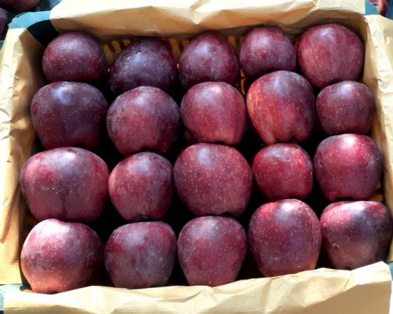 سیب قرمز چه خواصی دارد؟