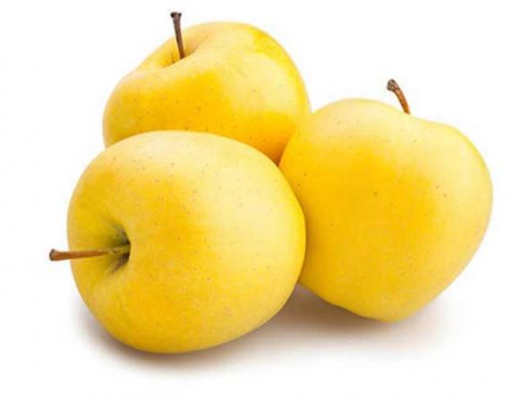 بررسی خواص سیب زرد شیراز