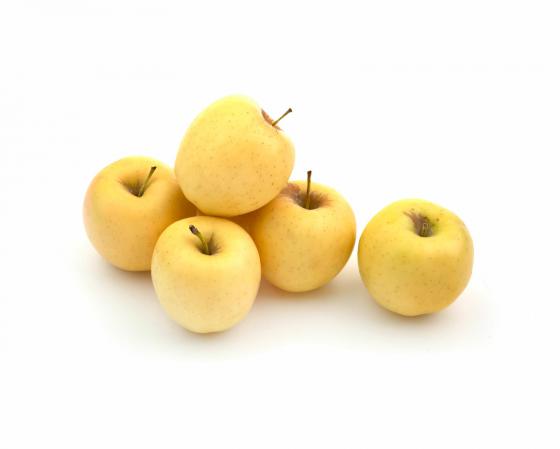 مرکز خرید سیب زرد ارزان قیمت