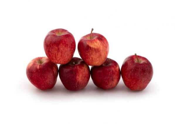 عرضه کننده سیب درختی قرمز