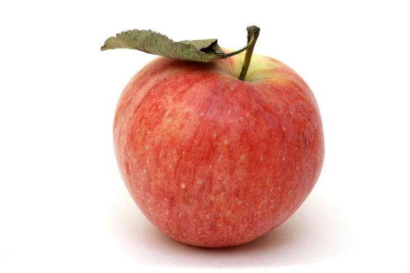 توزیع کنندگان سیب سرخ ارگانیک