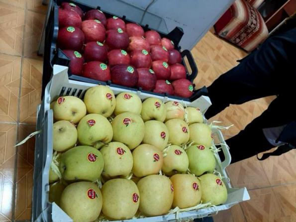 بازار پخش سیب زرد کارتنی