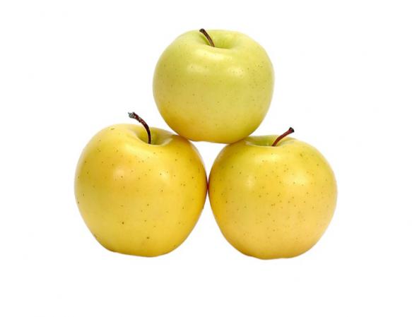 مرکز پخش سیب زرد ماتیکی