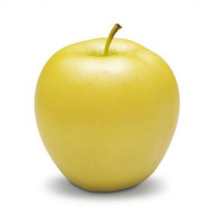 بررسی خاصیت ضد میکروبی سیب زرد