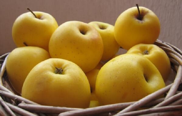 بررسی میزان کالری موجود در سیب